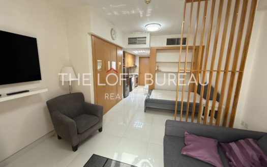 Elegant furnished studio with immediate income