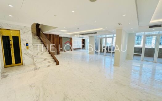 NO COMMMISSION|FULLY RENOVATED|DUPLEX PENTHOUSE